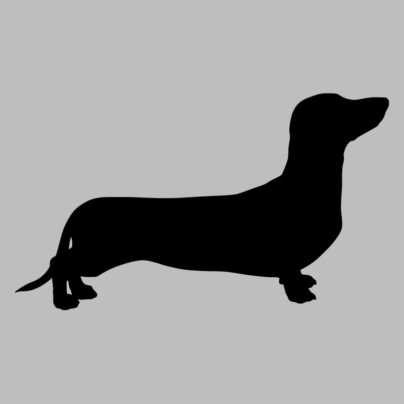 Dachshund