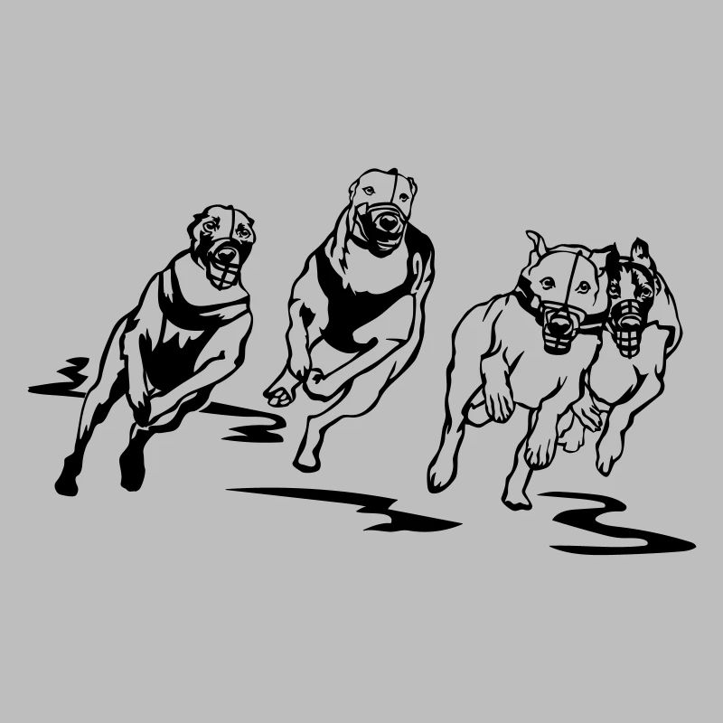 Whippets