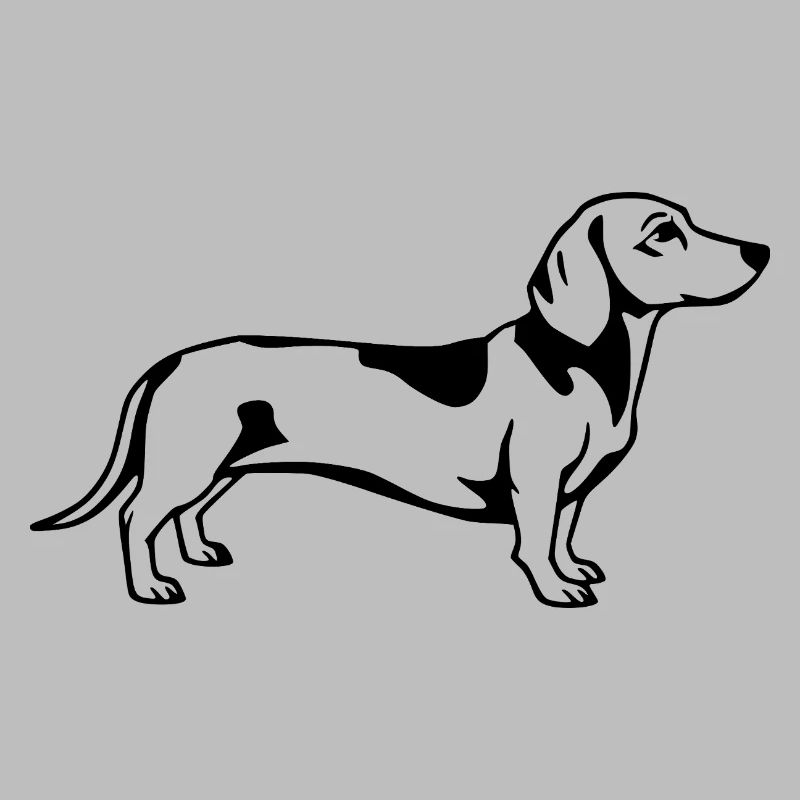Dachshund black