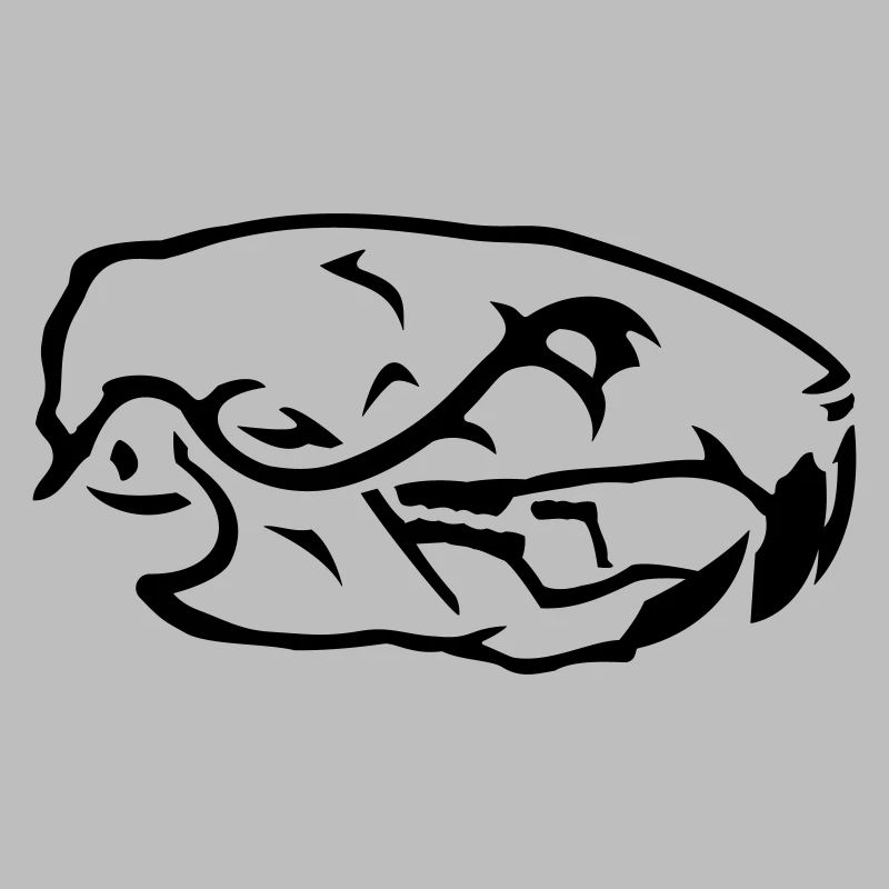 Ratten Skull Schädel