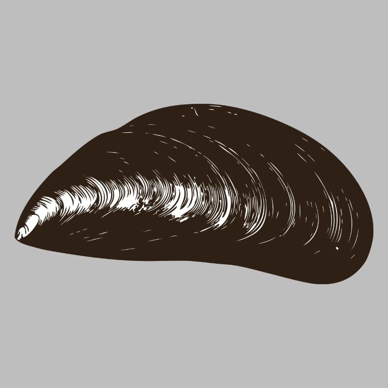 moule mussel