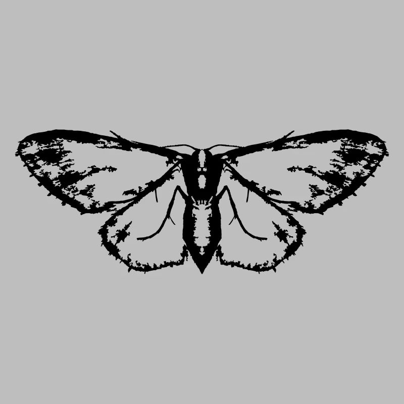 Moth / Butterfly / Moth