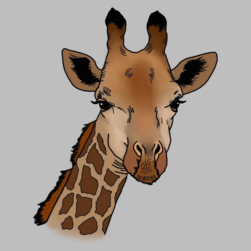Giraffe Kopf