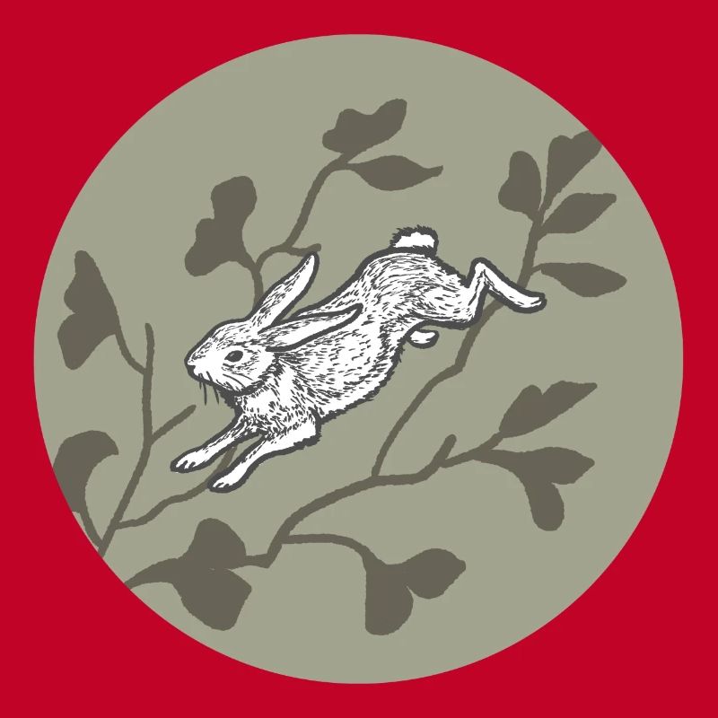 Rabbit on the moon