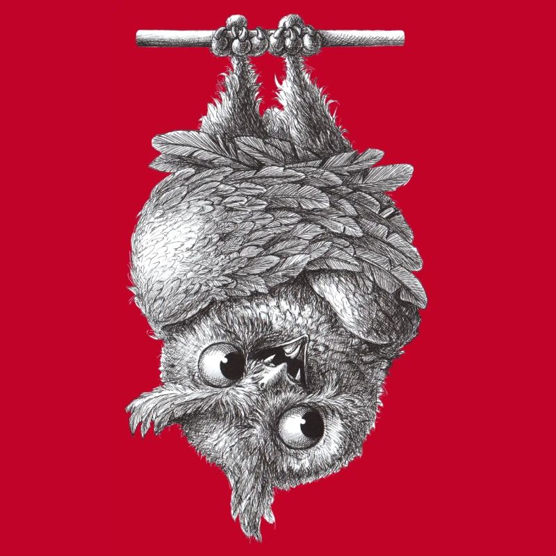 Vampir Eule - Dracula Eule