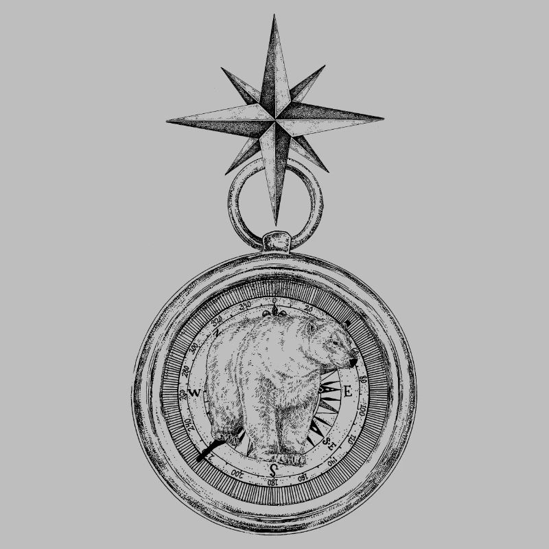 ARCTIC COMPASS