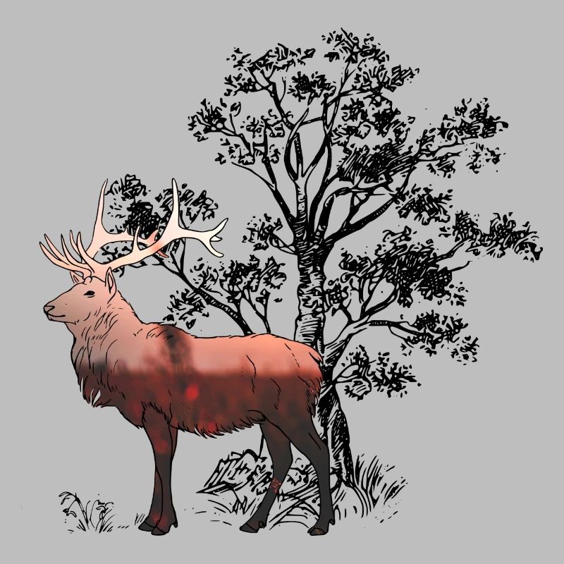 Deer Forest