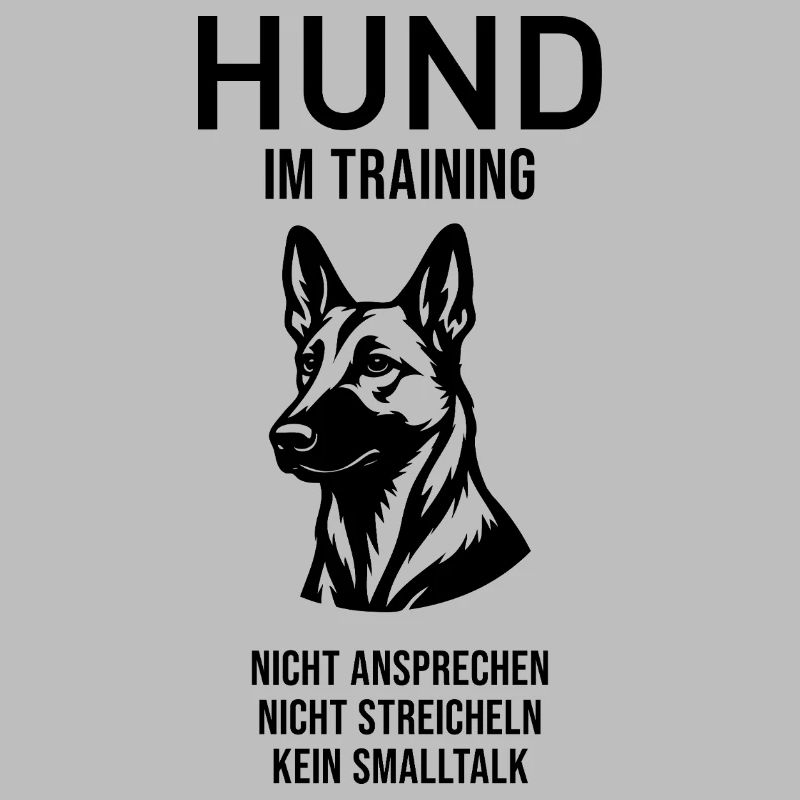 Hund im Training