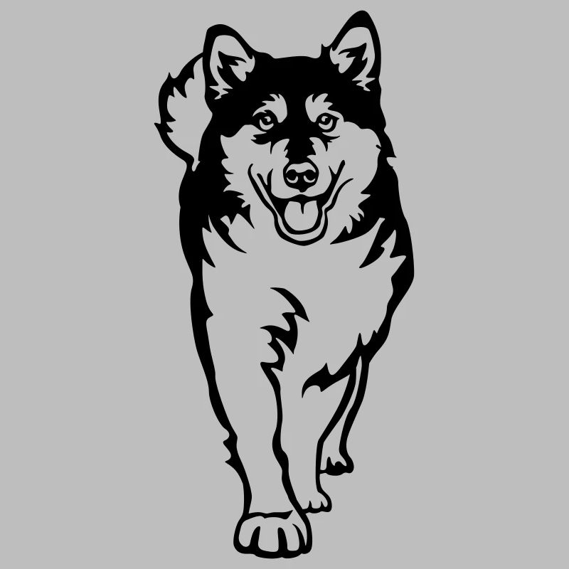 Alaskan Malamute