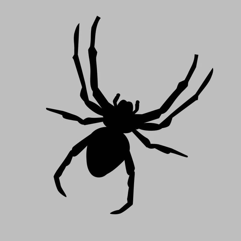 Spinne