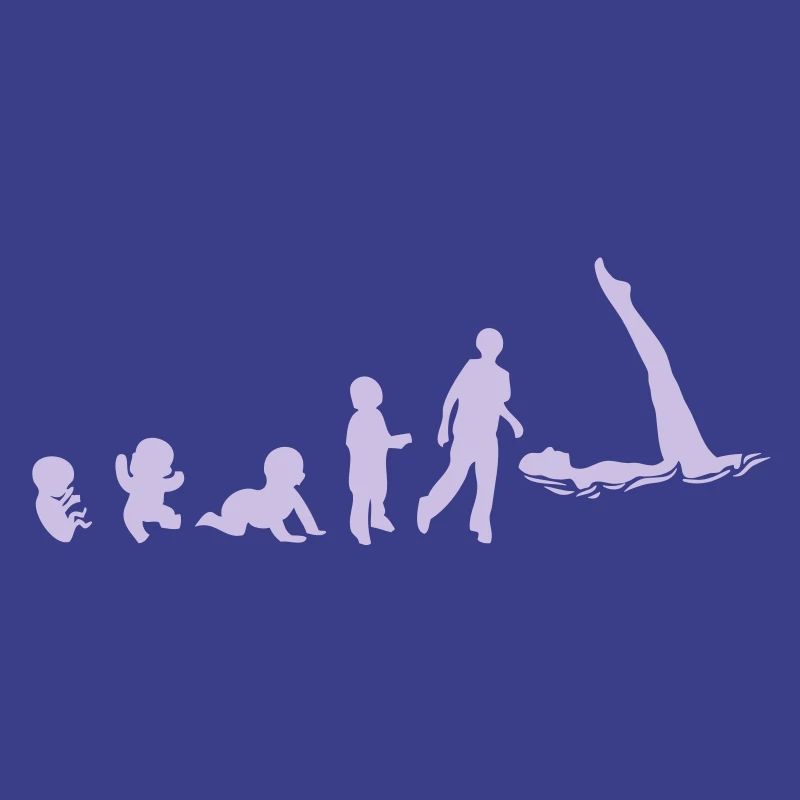 evolution natation synchro foetus human8