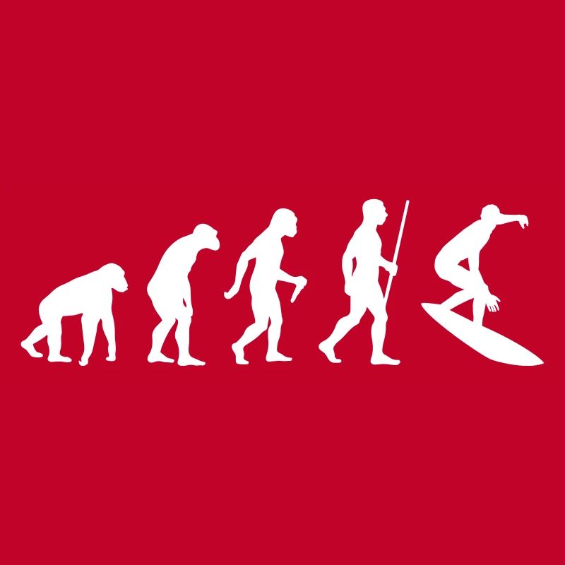 Surfer Evolution