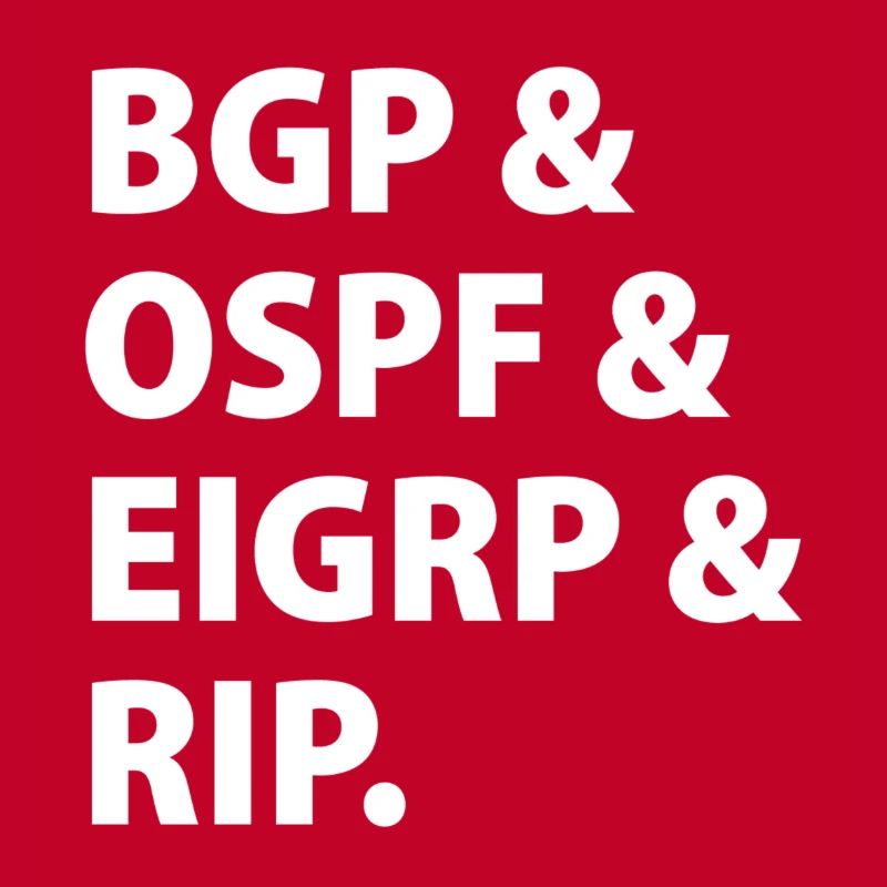 BGP & OSPF & EIGRP & RIP.