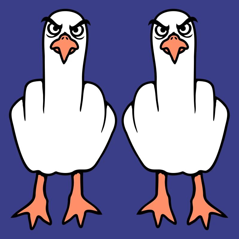 2 Seagulls Doigt d’honneur Insulte Stinkfinger Équipe