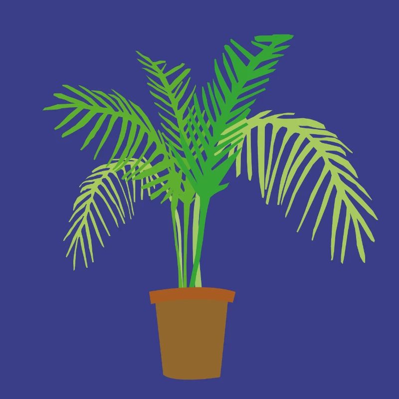 palmier