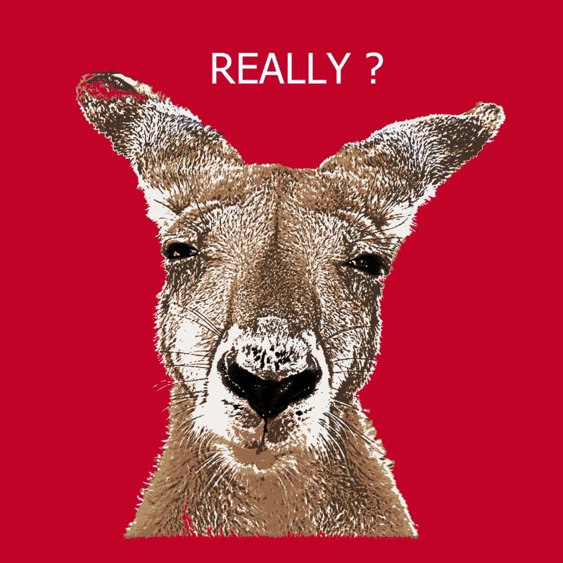 Kangaroo really?