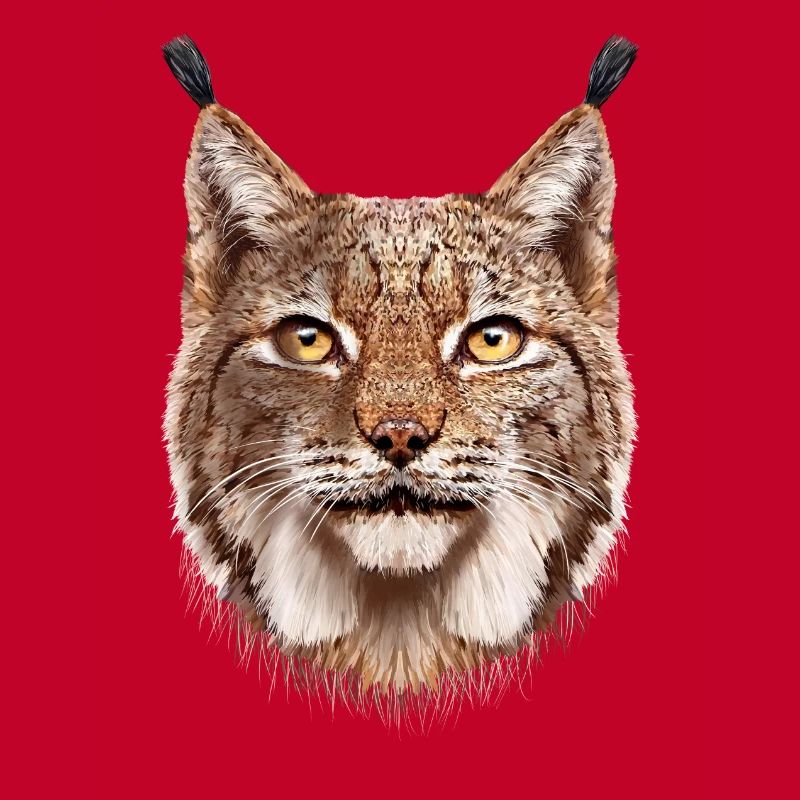 Luchs
