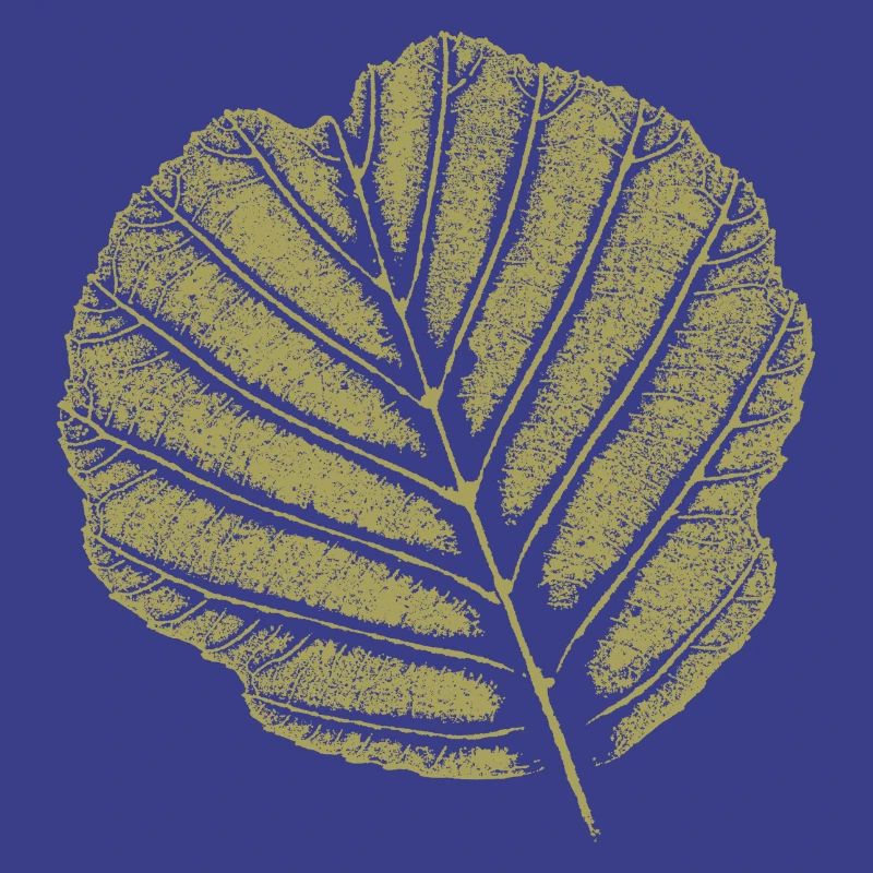 Leaf Alder / KHAKI