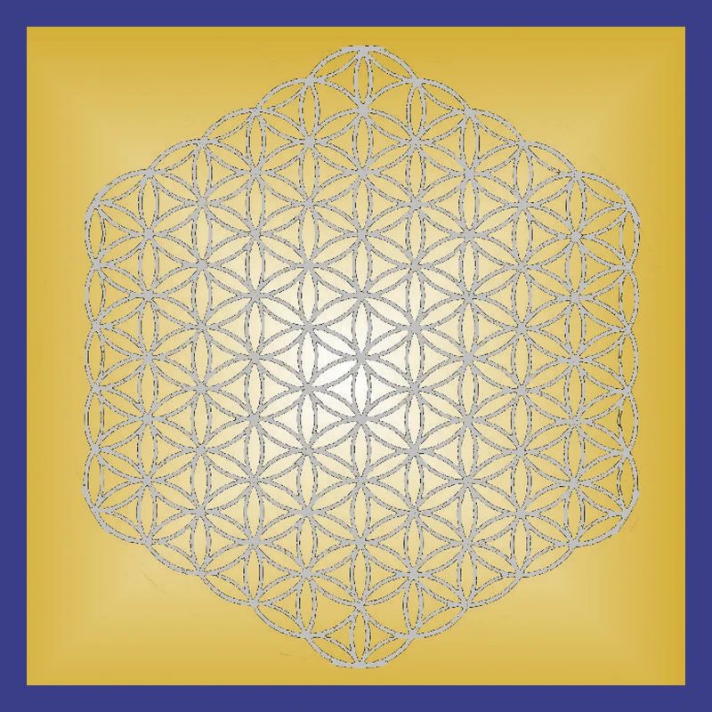 Blume des Lebens silber - 5. Dimension
