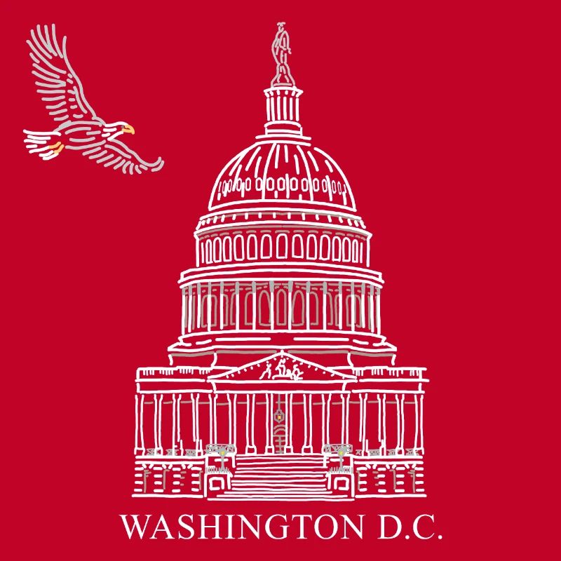 Washington D.C., Capitol Structure, Bald Eagle