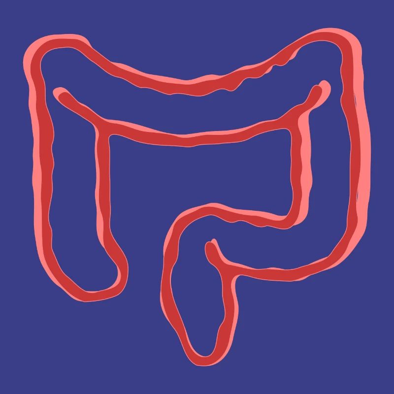 INTESTINAL ORGAN