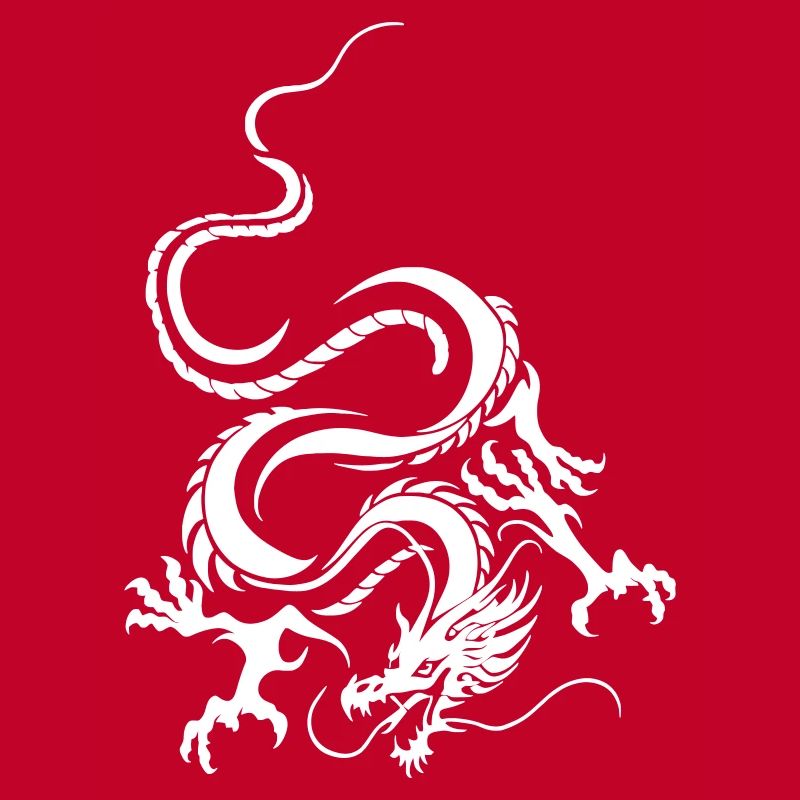 Dragon Blanc Art graphique complexe