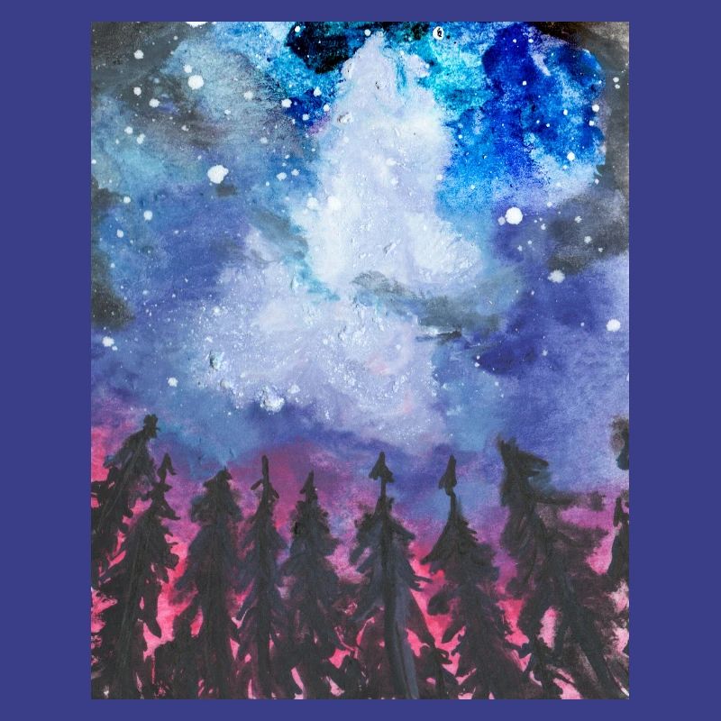 Forest at night