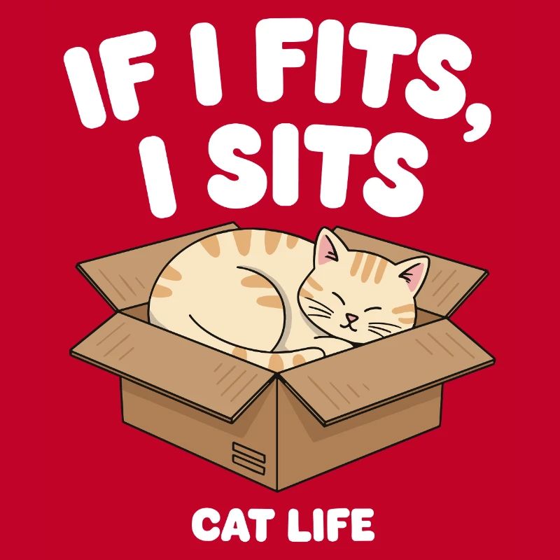 If it fits, cat sits in a box