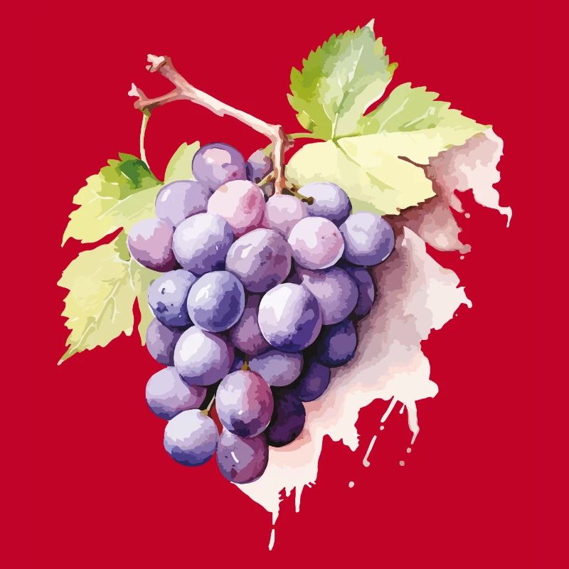 Grappe d’aquarelle de raisins