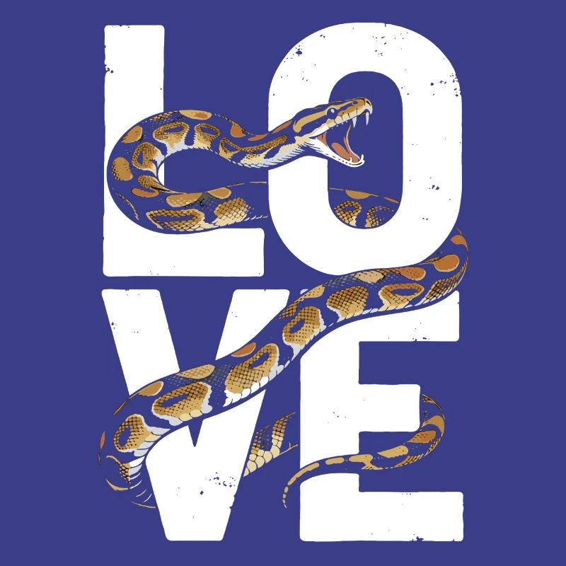 Les serpents rois Python ADORENT les pythons de terrarium