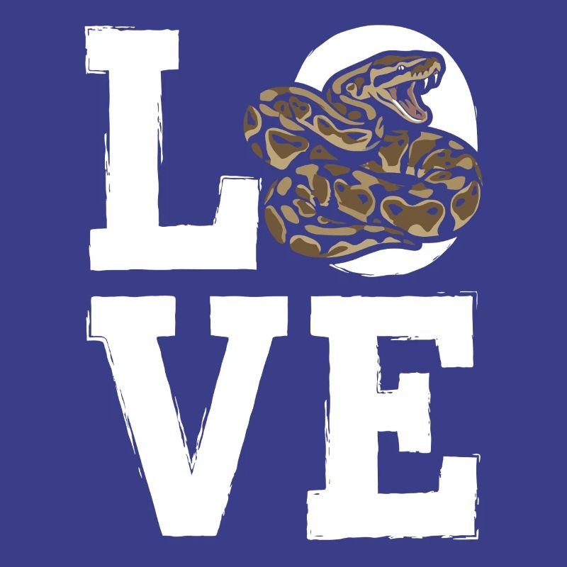 Les serpents rois Python ADORENT les pythons de terrarium