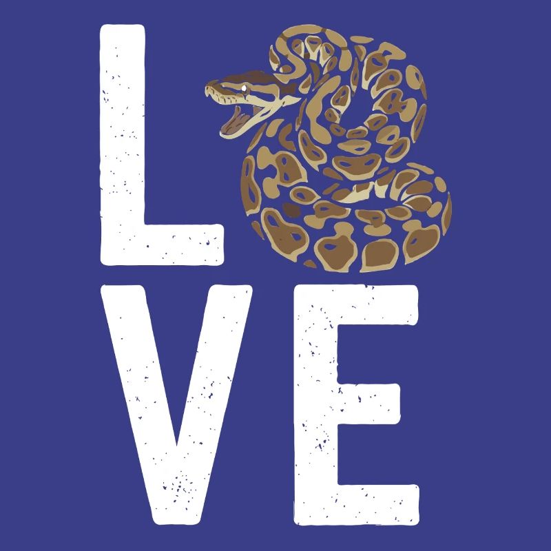 Les serpents rois Python ADORENT les pythons de terrarium