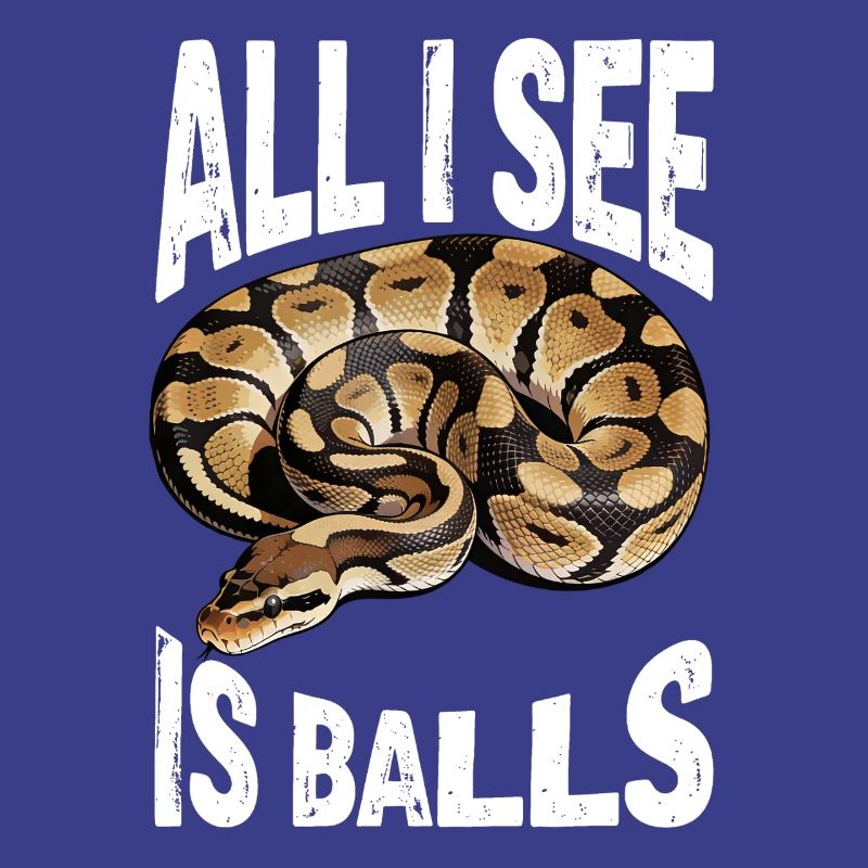 Python roi Serpents Amateurs de terrarium Python