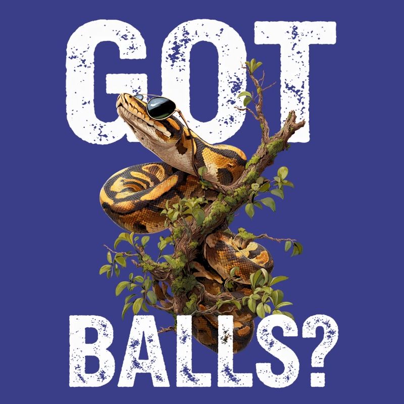 Python roi Serpents Amateurs de terrarium Python