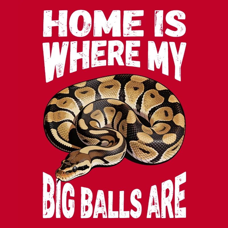 King Python Snakes Lover Terrarium Python
