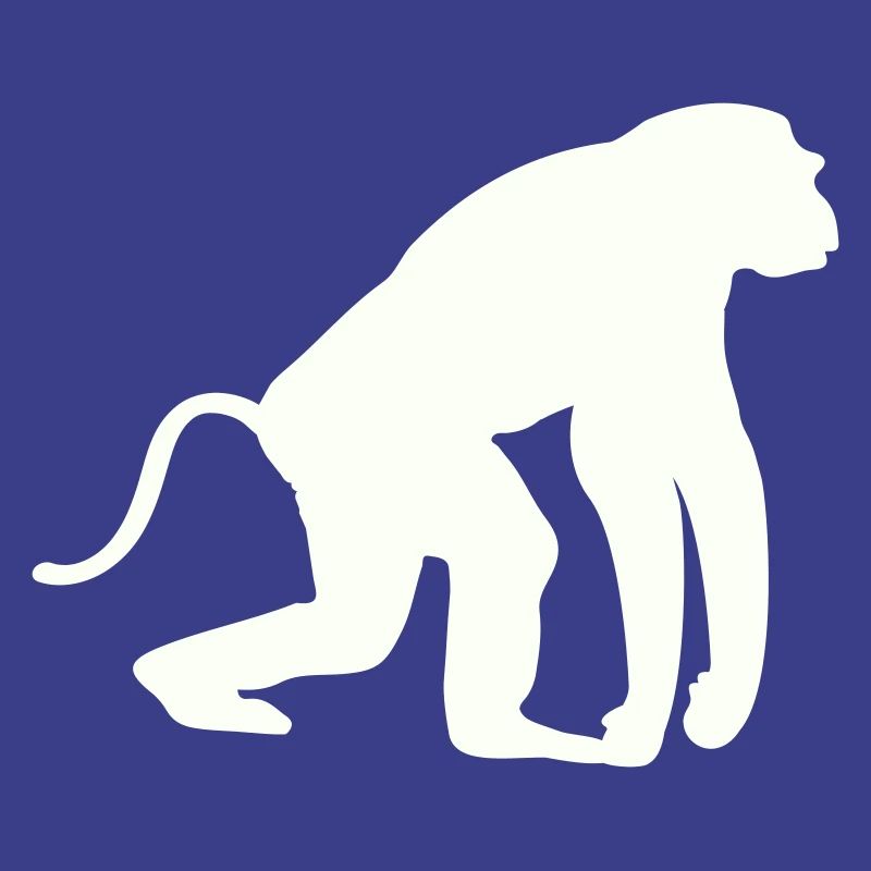 Silhouette de singe
