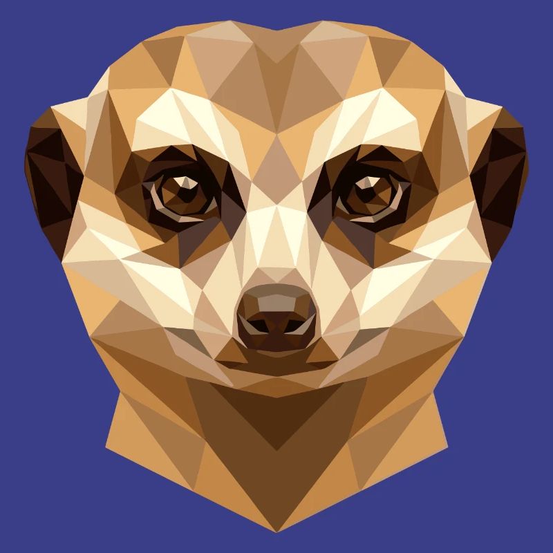 Suricate Suricate Douce Mangouste Suricate