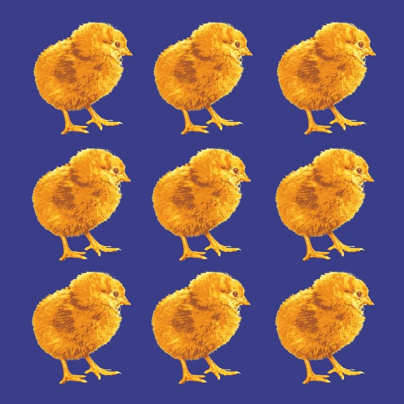 Fans de poulets - - Coq - Poussins