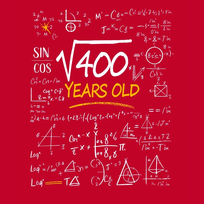 20 Years Birthday Math Formulas Funny