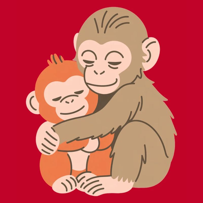 Hugging Monkey Duo