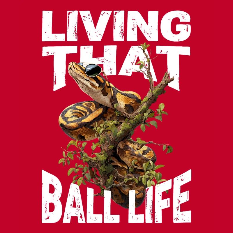 Python roi Serpents Amateurs de terrarium Python