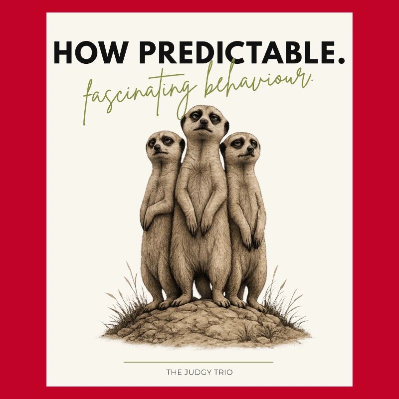 Quel trio de suricates prévisible