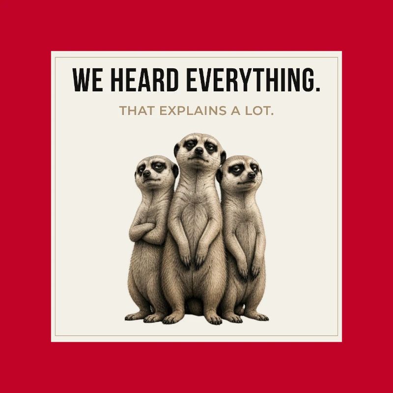 We Heard Everything Meerkat Trio