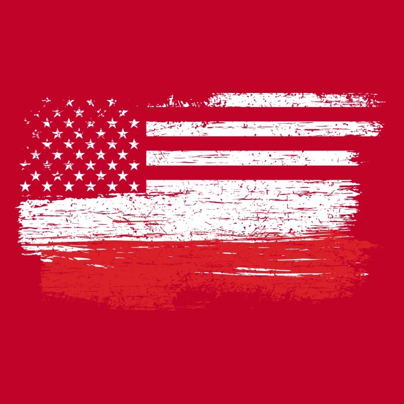 Brushed U.S. Flag Art