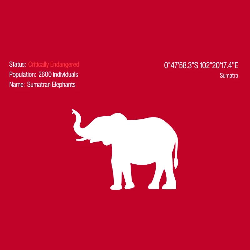Éléphant