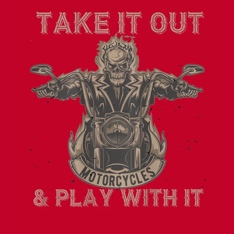 Take It Out Motorcycles Skull