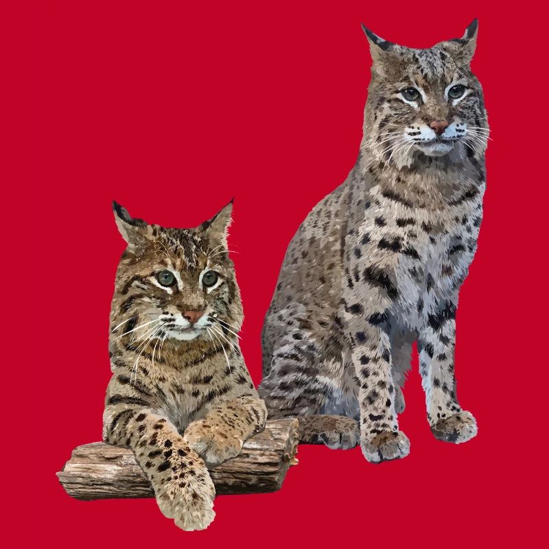 Lynx