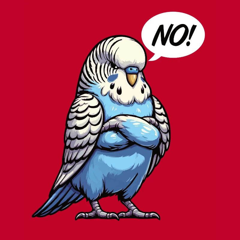 Pas de perruche oiseau perruche perruches perruches