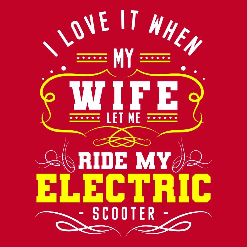 E-Scooter Stromer Roller Sport Hybrid