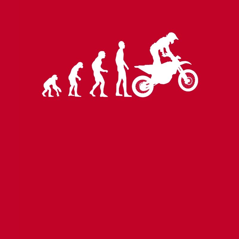 Motocross Evolution MX